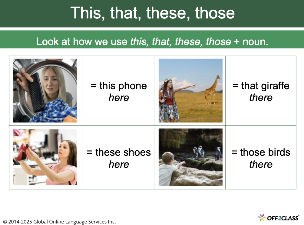 A lesson slide explaining how we use this, that, these, and those with a noun.